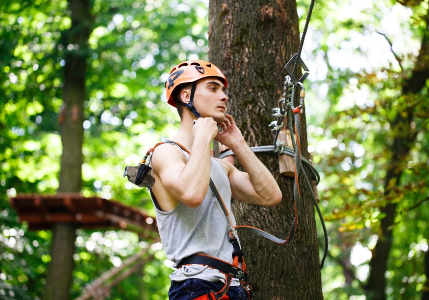 Arborist on Staff 